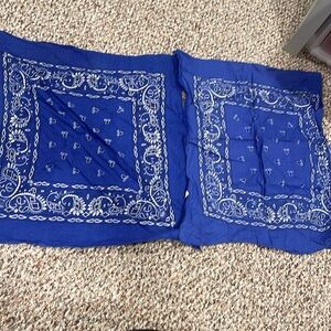 2 Blue Bandanas